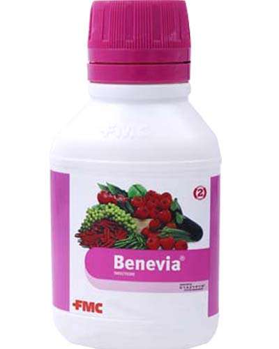 FMC Benevia (Cyantraniliprole 10.26 % w/w OD) 240 ml