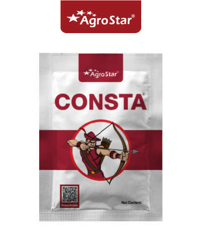 कॉन्स्टा (फिप्रोनिल 40% + इमिडाक्लोप्रिड 40%) 40 ग्राम