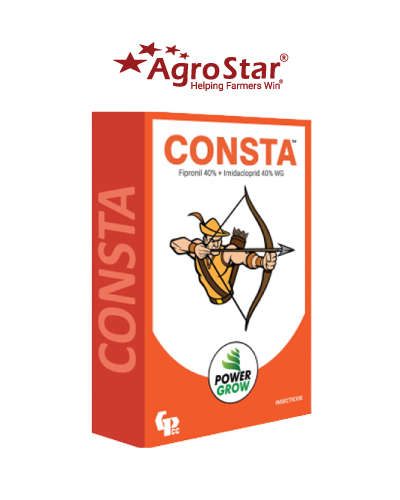 Consta (Fipronil 40% + Imidacloprid 40% WG) 100 g