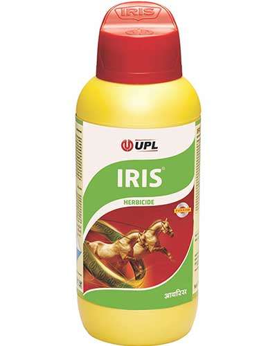 આઇરિસ (સોડિયમ એસિફ્લૂર્ફેન 16.5% + ક્લોડિનાફોપ પ્રોપ્રગેલ 8% ઇસી) 1 લીટર