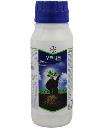 Bayer Velum Prime (Fluopyrum 34.48% SC) 500 ml