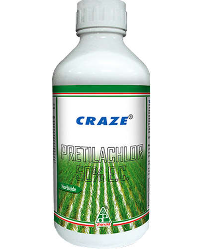 Dhanuka Craze (Pretilachlor 50% EC) 1 litre