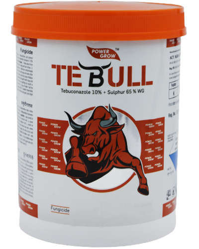 TeBull (Tebuconazole 10% + Sulphur 65% WG) 500 g