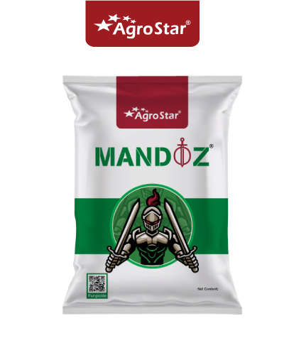 AgroStar Mandoz (Mancozeb 63% + Carbendazim 12% WP) 100 g