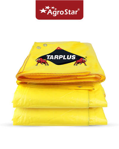 Tarplus Sheet 40*30 (Tadpatri) Yellow Lemon