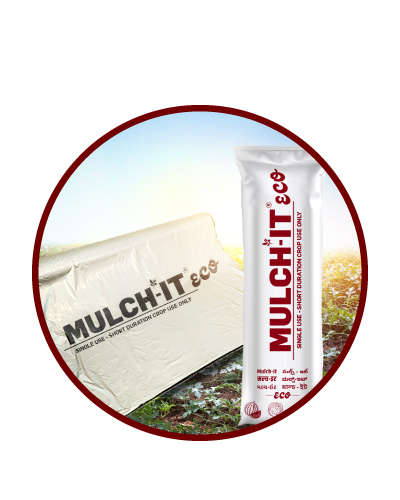 मल्च इट इको पॅक ऑफ 2 (नॉन रिटर्नेबल)