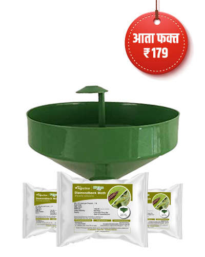 बायोसेन्स (वोटा टी ट्रॅप +डीबीएम ल्युर)किट 2022