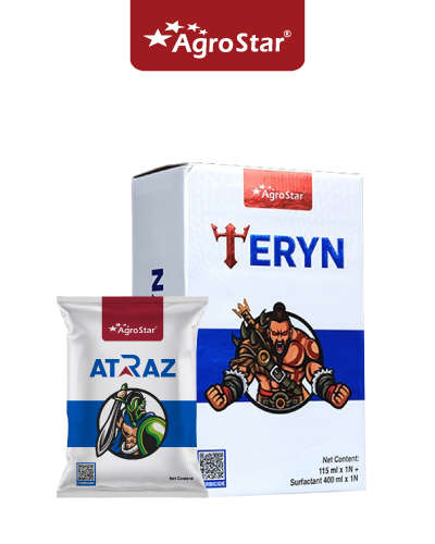 Agrostar Teryn 115 ml KIT  