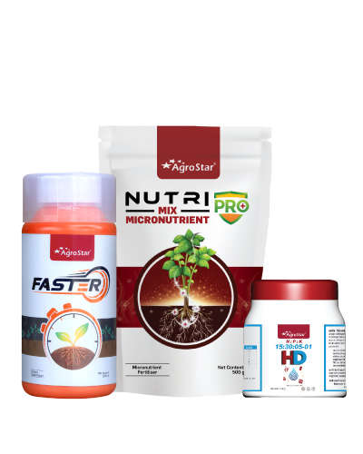 MH-Growth Booster KIT-2024    