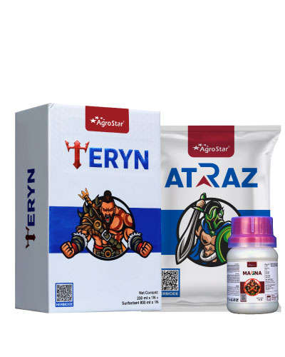 Maize Weedicide + Insecticide Spray KIT 2024