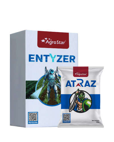 Entyzer 75ml (Entyzer 75ml-1unit + Atraz 500g-3unit) KIT