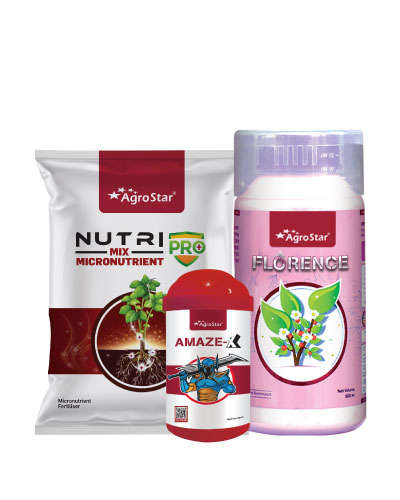 Tur 1st spray Combo (Flowering Stage) KIT B 2024