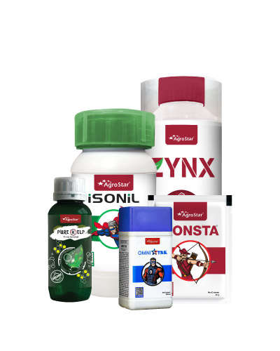 Paddy Nursery Sampurn Suraksha Spray KIT 2025