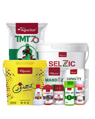 MP Makka Champion KIT-2025