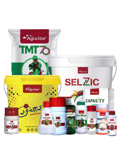MP Dhaan Champion KIT-2025