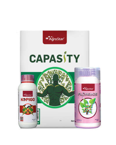 MP Soybean Phul Bahar KIT-2025