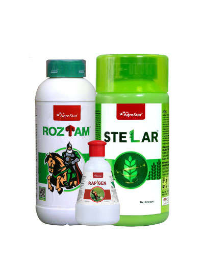 MP Soybean Shakti KIT-2025