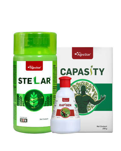 MP Makka Shakti KIT-2025