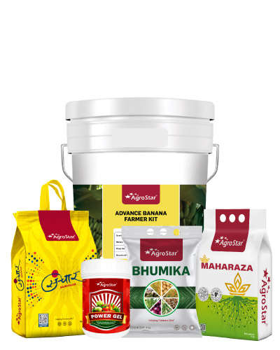 MH Advance Banana Farmer B2B KIT 2025