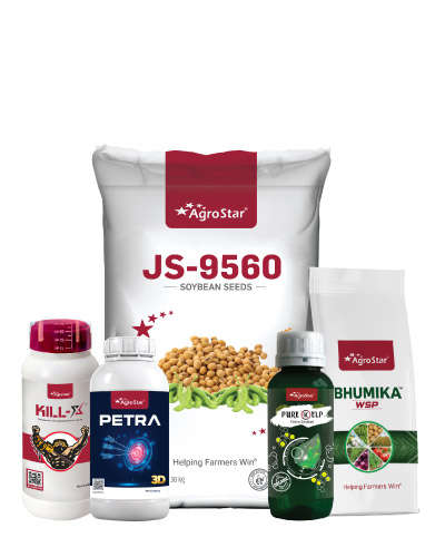 Soybean JS-9560 + CPCN combo KIT 2025