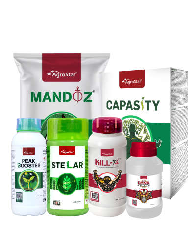 RJ Cotton 1st & 2nd Spray KIT 2025            