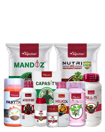 Cotton Mini Brahmastra Combo Kit - 2025