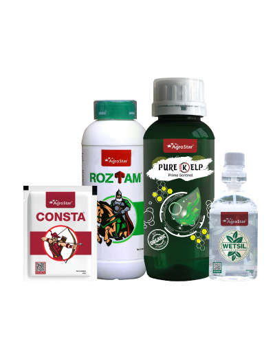 आलू का तीसरा स्प्रे किट (55-60 दिन)