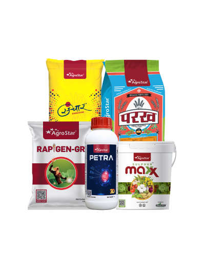 Potato Basal Application & Seed Treatment Kit