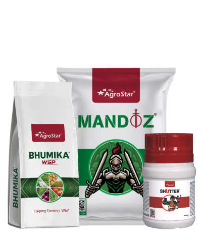 GJ Cumin Bharosa KIT  2025    