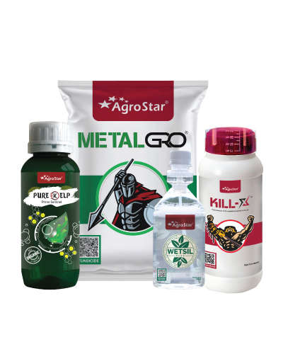 Onion 1st Spray KIT (25-35 Days) 2025      