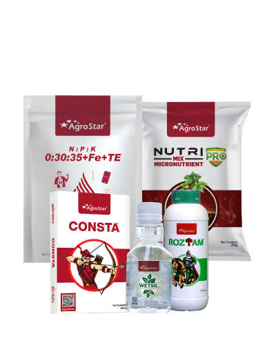 Onion 3rd Spray KIT (65-75 Days) 2025      