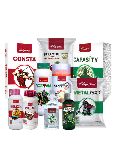 Onion FASAL SURAKSHA SPRAY KIT 2025                  