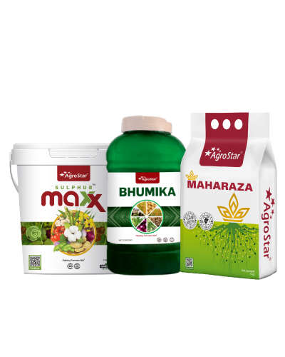 Onion Soil Application Kit - 2025    