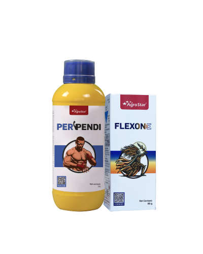 Wheat Pre-Emargence Weedicide Combo (Flexone + Perpendi)