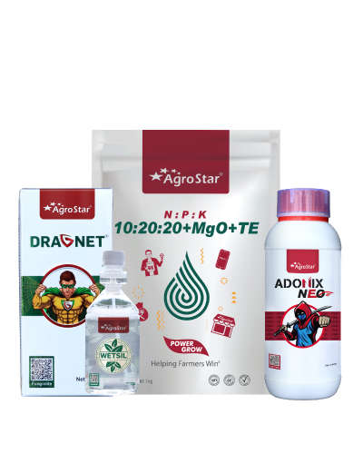 आलू का दूसरा स्प्रे किट (35-40 दिन)