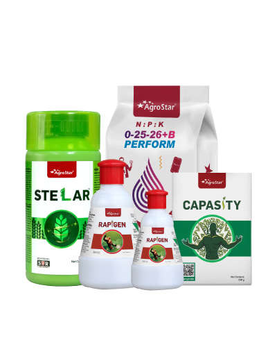 Tur 2nd spray Combo KIT B 2025 ( Pod Stage)        