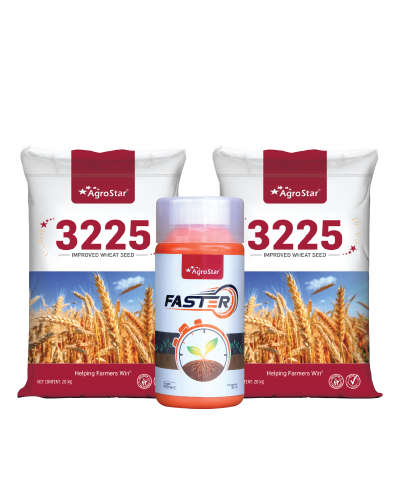 ॲग्रोस्टार 3225 गहू (2 Units) KIT 2025
