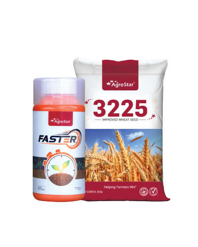 ॲग्रोस्टार 3225 गहू (1 Units) KIT 2025