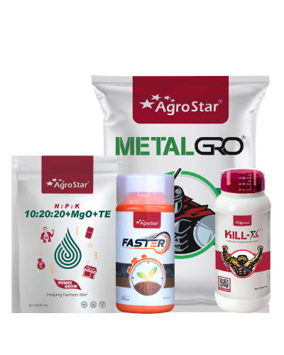 गहू पहिले स्प्रे किट २०२५ ( वाढ विकास अवस्था २०-३५ दिवस)