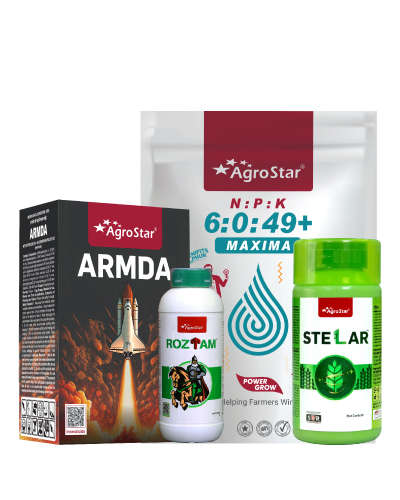 हरभरा/ चणा  तिसरा स्प्रे किट २०२५ (शेंगधारणा व विकास ५५-६५ दिवस)