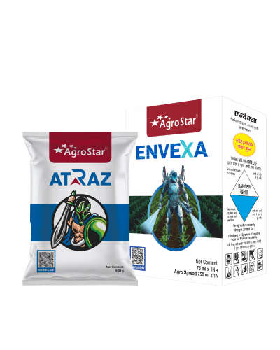 इन्व्हेक्सा 75ml (इन्व्हेक्सा 75ml-8unit+अ‍ॅट्राझ 500g-20unit)KIT