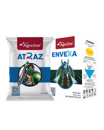 AGROSTAR ENVEXA 30 ML+ ATRAZ 500 G KIT