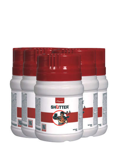 5 X शटर किट ( 5 X 100 g )