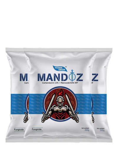 2.5 X मैंडोज़ किट ( 1 X 500 gm + 2 X 250 g )