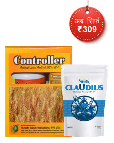 Wheat Claudius+Controller Combo-2021