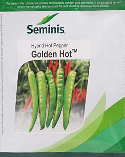 Seminis Golden Hot Chilli (1500 Seeds)