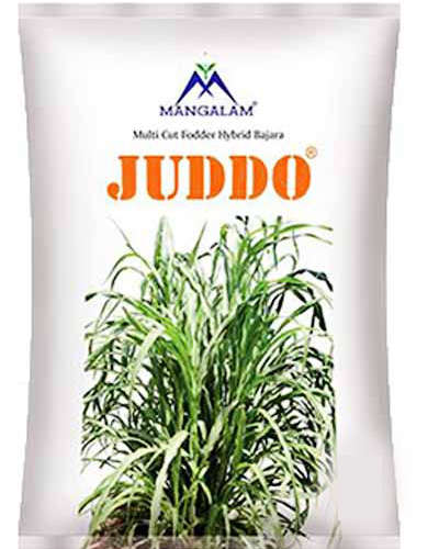 Mangalam Juddo Rajka (1 kg) Seeds