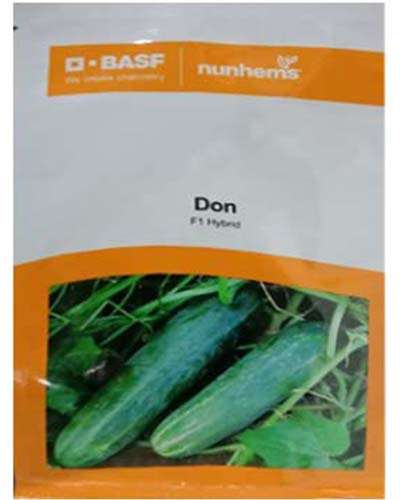 Nunhems Don Cucumber (250 Seeds)