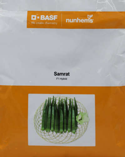 Nunhems Samrat Okra (7000 Seeds)