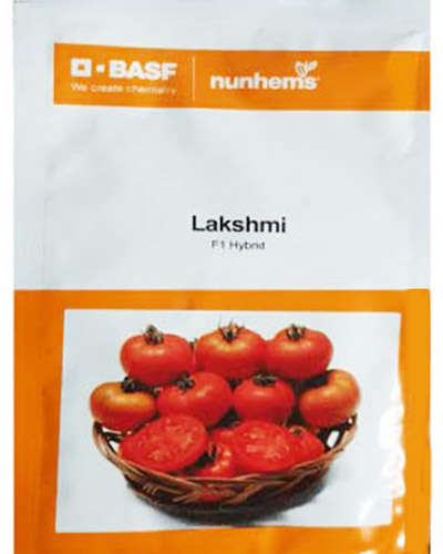 Nunhems Lakshmi Tomato (3000 Seeds)